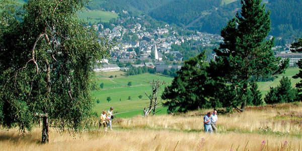 Wandergruppe am Ettelsberg in Willingen