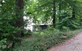 Haus Schönblick - im Wäldchen