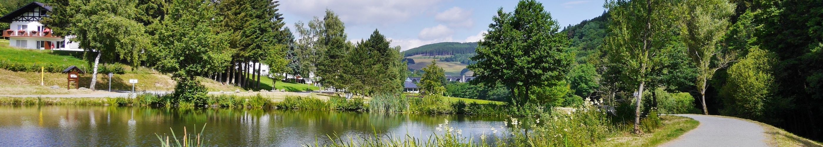 Ettelsberg Panorama in auf Ort und Berge Willingen / Sauerland