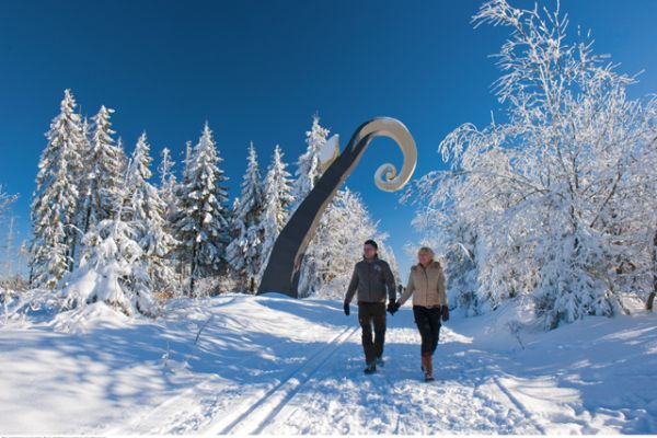 Waldskulpturenweg am Rothaarsteig Schmallenberg Waldskulpturenweg im Winter