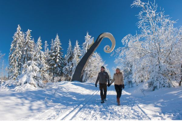 Schmallenberg Waldskulpturenweg im Winter