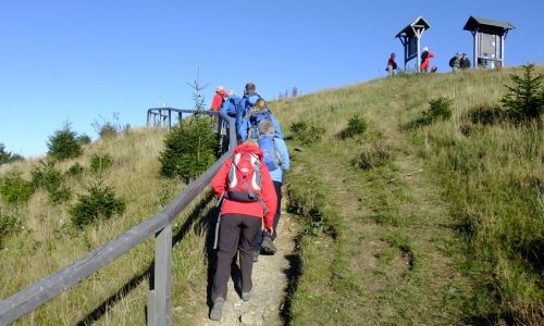 Wandelen in het Willingen Upland