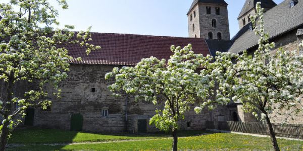 Bloesem in het klooster Flechtdorf