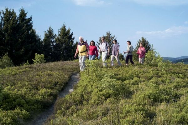 Wandern in der Hochheise Ettelsberg