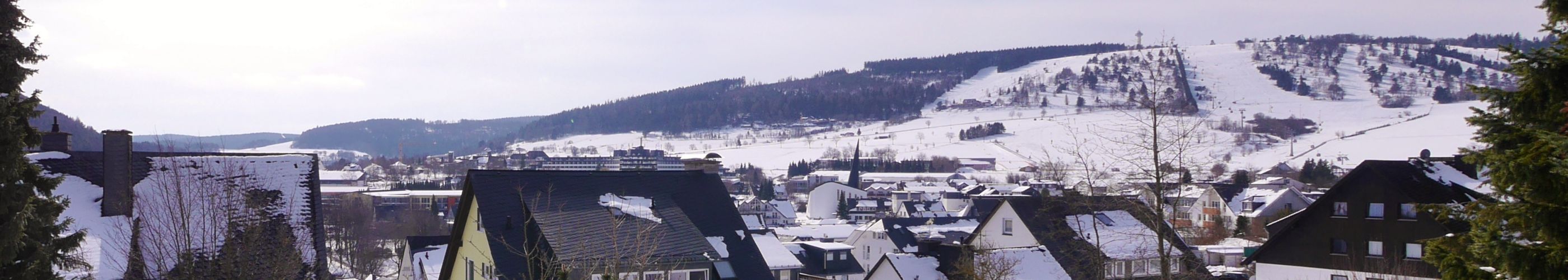 Winter Fewo Ettelsberg-Panorama Willingen