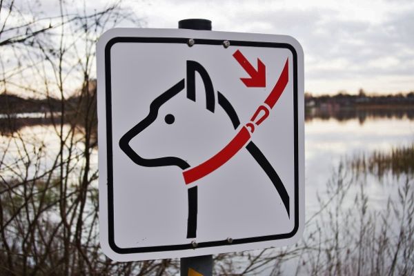 Leinepflicht für Hunde im Sauerland