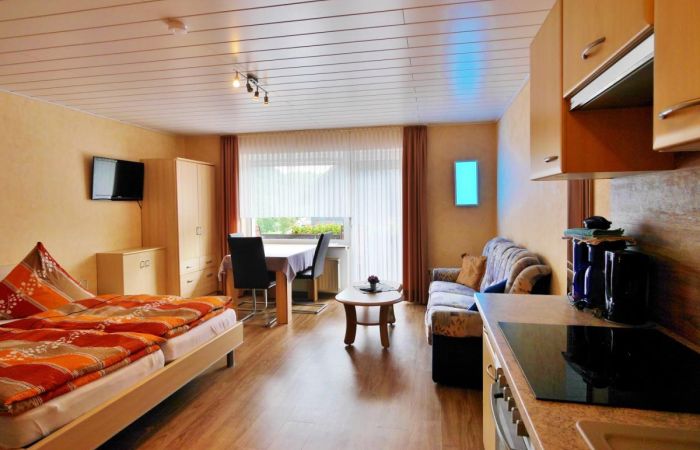 Fewo Adlerhorst (Studio) Whg.5 mit Hallenbad