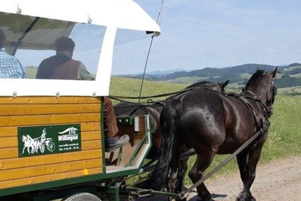 Sommer Kutsch & Planwagenfahrt in Willingen