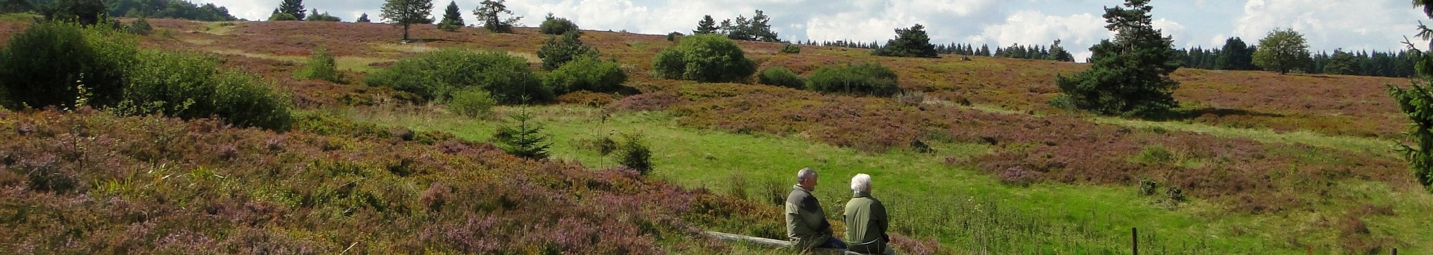 Hochheide Neuer Hagen - Willingen/Niddersfeld