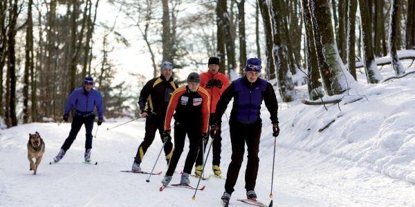 Cross-country ski-parcours op de Ettelsberg
