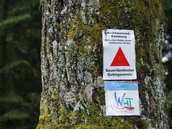 Hochsauerland-Kammweg Kennzeichen am Baum