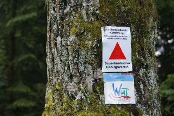 Hochsauerland-Kammweg Kennzeichen am Baum