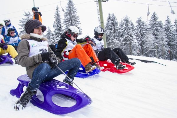 Rodelhang im Skiliftkarussell Winterberg