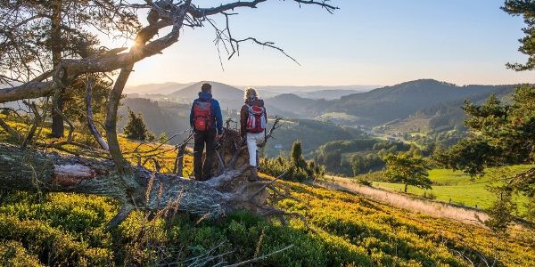 Wandern im Schmallenberger Sauerland