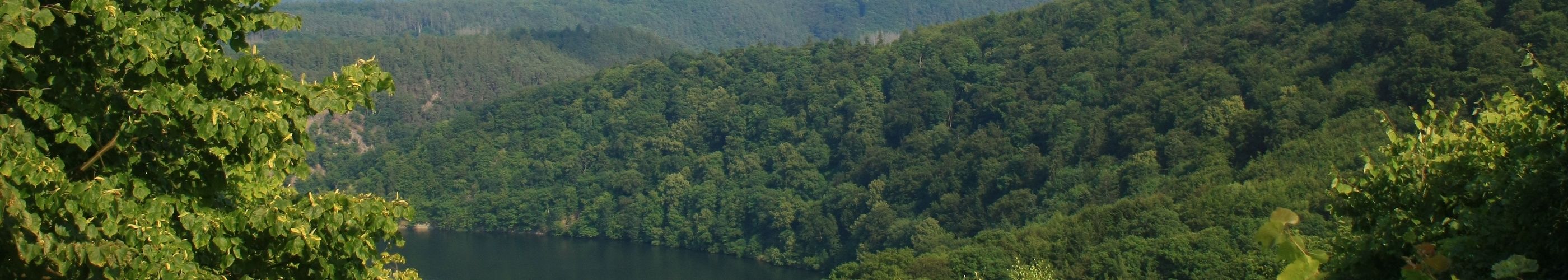 Nationalpark Kellerwald-Edersee Panorama