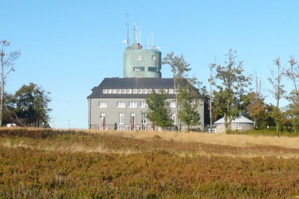 Astenhaus op het kale takken in Winterberg