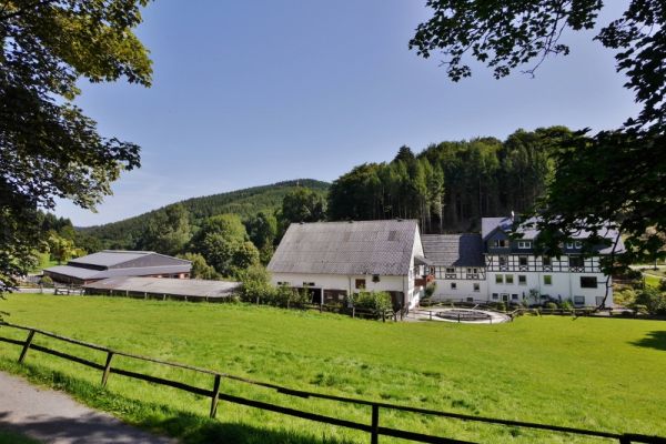 Reiterhof Wilke-Mühle Usseln