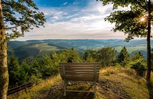 Wanderer-Aussichtspunkt in Natur mit Bank im Sauerland