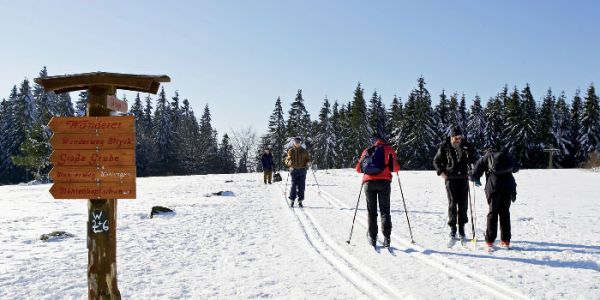 Ski-Langlauf auf dem Ettelsberg