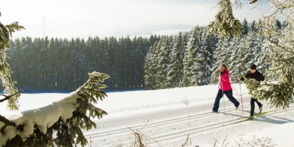 Langlaufen door sparrenbossen in Willingen