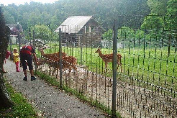 Wildpark Völlinghausen Möhnesee