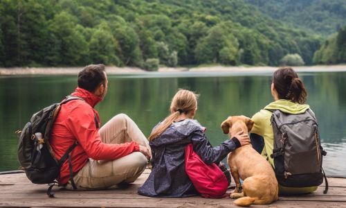 Alle Ferienobjekte für Sauerland-Urlaub mit Hund