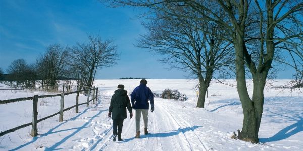 Winterwandelen op het plateau in Usseln bij Willingen / Sauerland