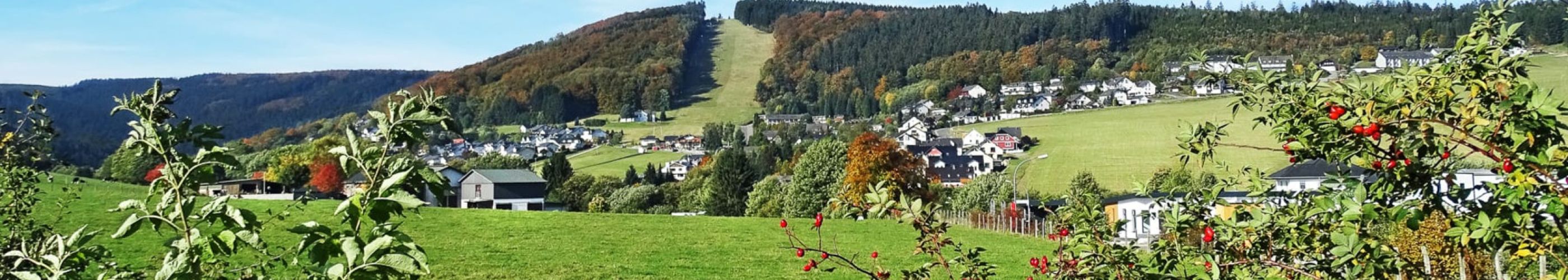 Hoppecketal in Willingen