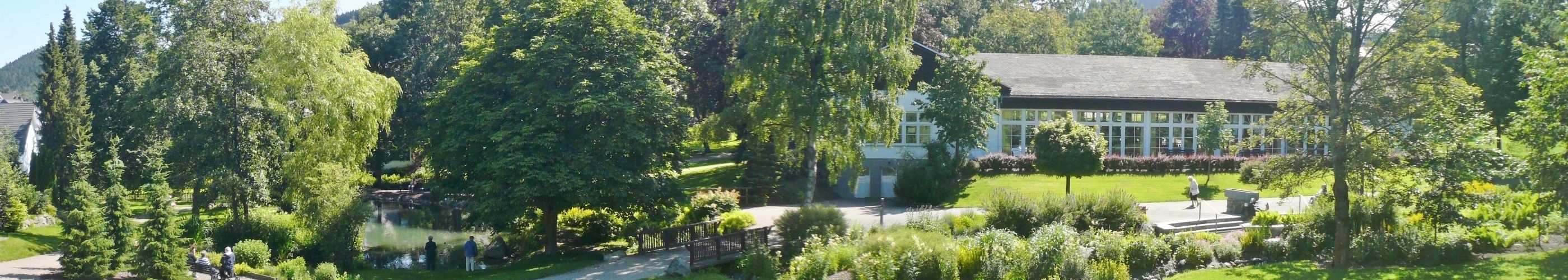 Kurpark Willingen - Blick von der Fewo am Kurpark