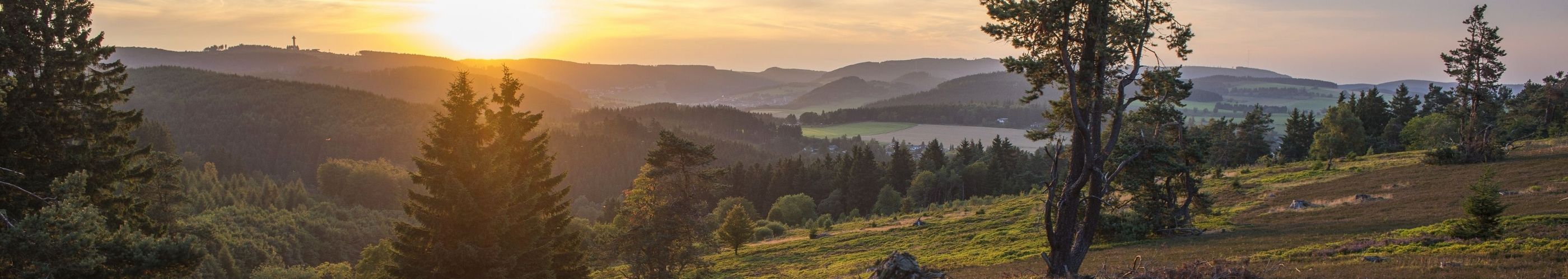 Panorama van de Hochheide aan de Osterkopf bij Willingen-Usseln