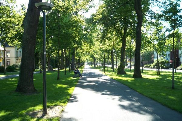 Kurviertel Große Allee in Bad Arolsen