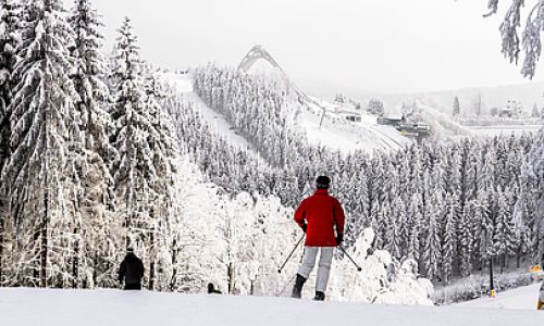 Winterberg skiër & skischans