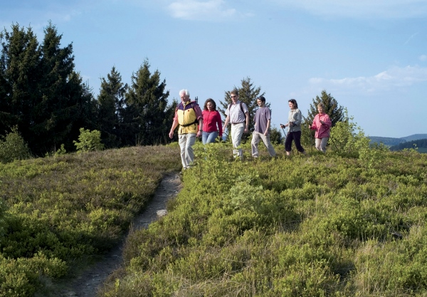 Wandern in der Hochheise Ettelsberg Wandern in der Hochheise Ettelsberg