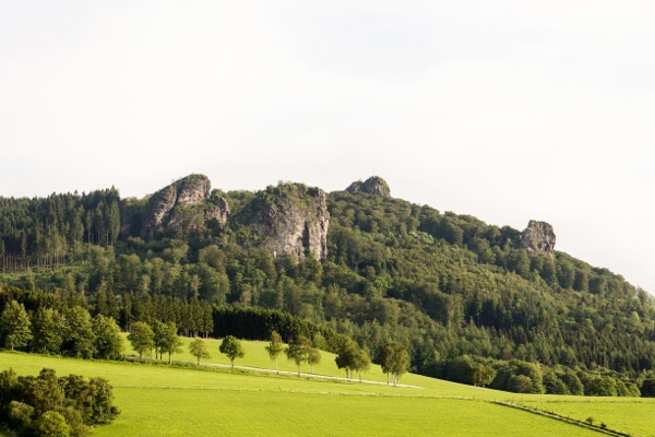 Bruchhausen stenen bij Elkeringhausen in het Sauerland