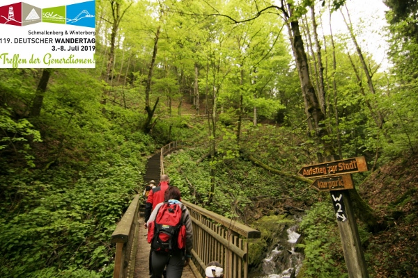 Wegzeichen Winterberger Hochtour am Baum