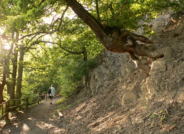 Wandern im Nationalpark