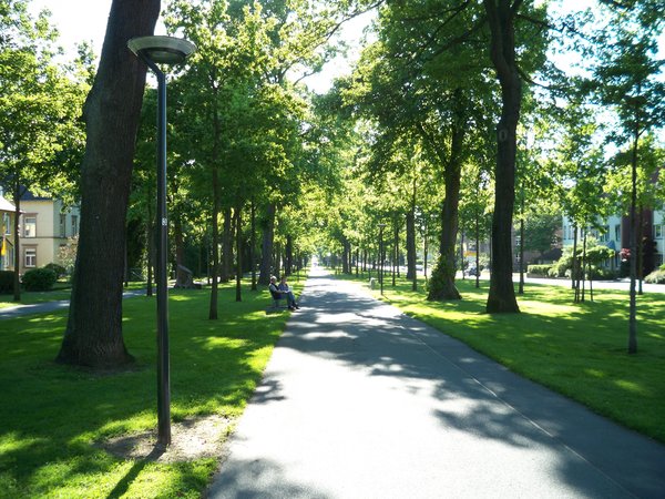 "Große Allee" in Bad Arolsen Kurviertel Große Allee in Bad Arolsen