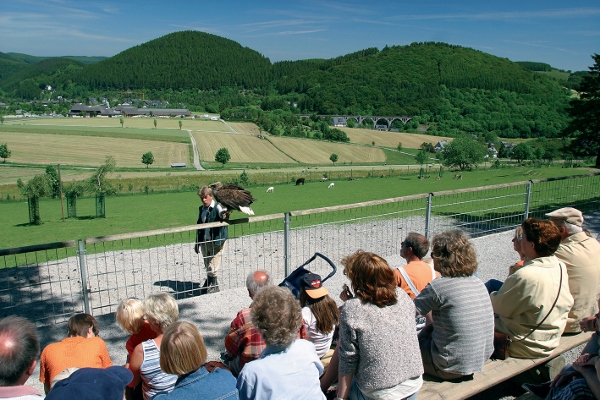 Wildpark & Märchenwald am Ettelsberg