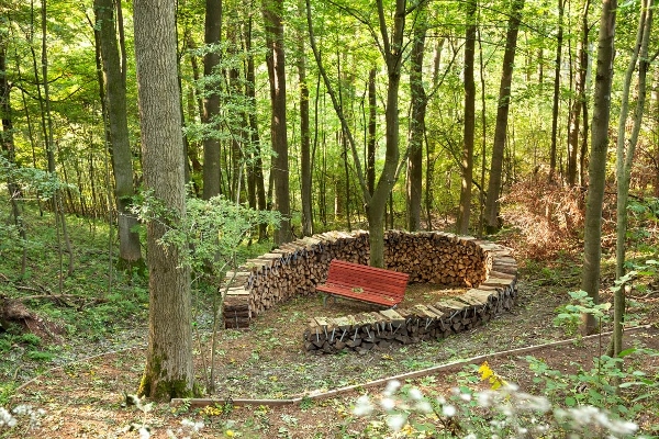 Landschaap therapie pad in het Kurpark Brilon